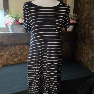 Arizona Jean Company Navy and White Striped Mini Dress